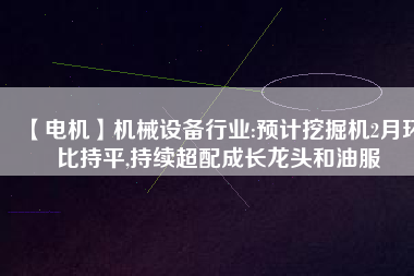 【電機】機械設備行業(yè):預計挖掘機2月環(huán)比持平,持續(xù)超配成長龍頭和油服 - TECO東元電機 | 變頻器·伺服電機·減速機·電機解決方案