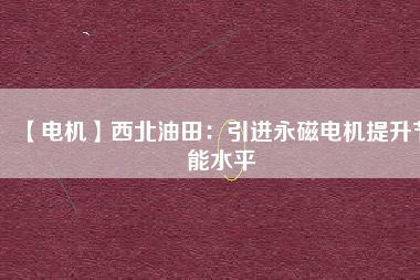 【電機(jī)】西北油田:引進(jìn)永磁電機(jī)提升節(jié)能水平 - TECO東元電機(jī) | 變頻器·伺服電機(jī)·減速機(jī)·電機(jī)解決方案