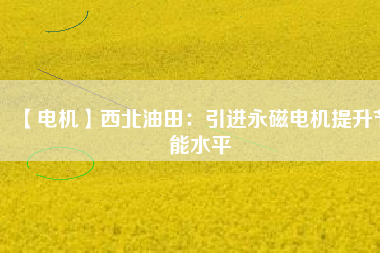 【電機(jī)】西北油田:引進(jìn)永磁電機(jī)提升節(jié)能水平 - TECO東元電機(jī) | 變頻器·伺服電機(jī)·減速機(jī)·電機(jī)解決方案