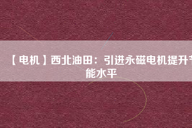 【電機(jī)】西北油田:引進(jìn)永磁電機(jī)提升節(jié)能水平 - TECO東元電機(jī) | 變頻器·伺服電機(jī)·減速機(jī)·電機(jī)解決方案
