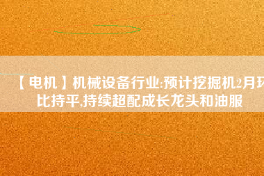 【電機】機械設備行業(yè):預計挖掘機2月環(huán)比持平,持續(xù)超配成長龍頭和油服 - TECO東元電機 | 變頻器·伺服電機·減速機·電機解決方案
