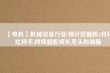 【電機】機械設備行業(yè):預計挖掘機2月環(huán)比持平,持續(xù)超配成長龍頭和油服 - TECO東元電機 | 變頻器·伺服電機·減速機·電機解決方案