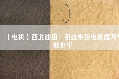 【電機(jī)】西北油田:引進(jìn)永磁電機(jī)提升節(jié)能水平 - TECO東元電機(jī) | 變頻器·伺服電機(jī)·減速機(jī)·電機(jī)解決方案