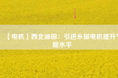 【電機(jī)】西北油田:引進(jìn)永磁電機(jī)提升節(jié)能水平 - TECO東元電機(jī) | 變頻器·伺服電機(jī)·減速機(jī)·電機(jī)解決方案