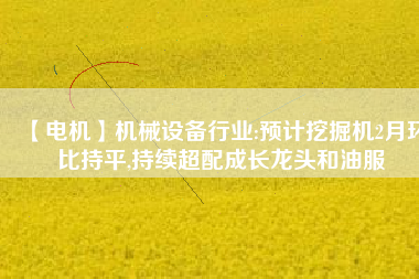 【電機】機械設備行業(yè):預計挖掘機2月環(huán)比持平,持續(xù)超配成長龍頭和油服 - TECO東元電機 | 變頻器·伺服電機·減速機·電機解決方案