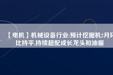 【電機】機械設備行業(yè):預計挖掘機2月環(huán)比持平,持續(xù)超配成長龍頭和油服 - TECO東元電機 | 變頻器·伺服電機·減速機·電機解決方案