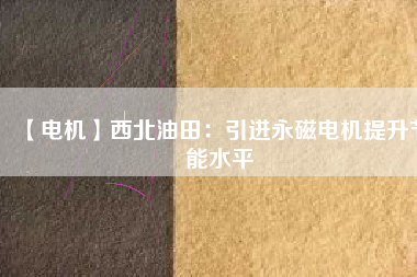 【電機(jī)】西北油田:引進(jìn)永磁電機(jī)提升節(jié)能水平 - TECO東元電機(jī) | 變頻器·伺服電機(jī)·減速機(jī)·電機(jī)解決方案