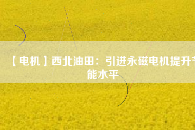 【電機(jī)】西北油田:引進(jìn)永磁電機(jī)提升節(jié)能水平 - TECO東元電機(jī) | 變頻器·伺服電機(jī)·減速機(jī)·電機(jī)解決方案