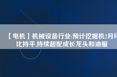 【電機】機械設備行業(yè):預計挖掘機2月環(huán)比持平,持續(xù)超配成長龍頭和油服 - TECO東元電機 | 變頻器·伺服電機·減速機·電機解決方案