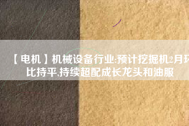 【電機】機械設備行業(yè):預計挖掘機2月環(huán)比持平,持續(xù)超配成長龍頭和油服 - TECO東元電機 | 變頻器·伺服電機·減速機·電機解決方案