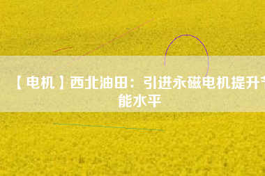【電機(jī)】西北油田:引進(jìn)永磁電機(jī)提升節(jié)能水平 - TECO東元電機(jī) | 變頻器·伺服電機(jī)·減速機(jī)·電機(jī)解決方案
