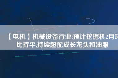 【電機】機械設備行業(yè):預計挖掘機2月環(huán)比持平,持續(xù)超配成長龍頭和油服 - TECO東元電機 | 變頻器·伺服電機·減速機·電機解決方案