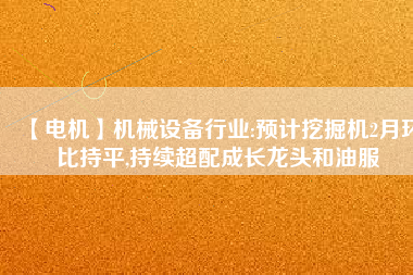 【電機】機械設備行業(yè):預計挖掘機2月環(huán)比持平,持續(xù)超配成長龍頭和油服 - TECO東元電機 | 變頻器·伺服電機·減速機·電機解決方案