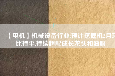 【電機】機械設備行業(yè):預計挖掘機2月環(huán)比持平,持續(xù)超配成長龍頭和油服 - TECO東元電機 | 變頻器·伺服電機·減速機·電機解決方案