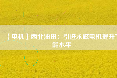 【電機(jī)】西北油田:引進(jìn)永磁電機(jī)提升節(jié)能水平 - TECO東元電機(jī) | 變頻器·伺服電機(jī)·減速機(jī)·電機(jī)解決方案