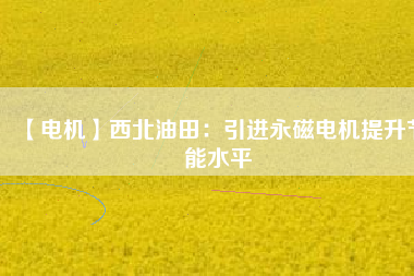 【電機(jī)】西北油田:引進(jìn)永磁電機(jī)提升節(jié)能水平 - TECO東元電機(jī) | 變頻器·伺服電機(jī)·減速機(jī)·電機(jī)解決方案