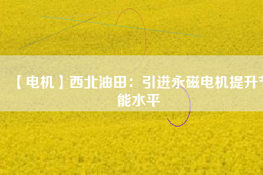 【電機(jī)】西北油田:引進(jìn)永磁電機(jī)提升節(jié)能水平 - TECO東元電機(jī) | 變頻器·伺服電機(jī)·減速機(jī)·電機(jī)解決方案