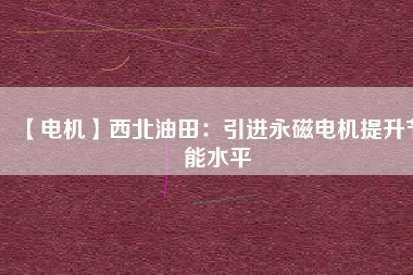 【電機(jī)】西北油田:引進(jìn)永磁電機(jī)提升節(jié)能水平 - TECO東元電機(jī) | 變頻器·伺服電機(jī)·減速機(jī)·電機(jī)解決方案