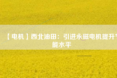【電機(jī)】西北油田:引進(jìn)永磁電機(jī)提升節(jié)能水平 - TECO東元電機(jī) | 變頻器·伺服電機(jī)·減速機(jī)·電機(jī)解決方案