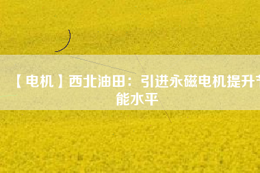 【電機(jī)】西北油田:引進(jìn)永磁電機(jī)提升節(jié)能水平 - TECO東元電機(jī) | 變頻器·伺服電機(jī)·減速機(jī)·電機(jī)解決方案