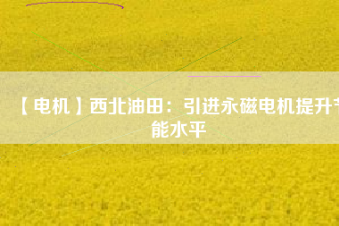 【電機(jī)】西北油田:引進(jìn)永磁電機(jī)提升節(jié)能水平 - TECO東元電機(jī) | 變頻器·伺服電機(jī)·減速機(jī)·電機(jī)解決方案