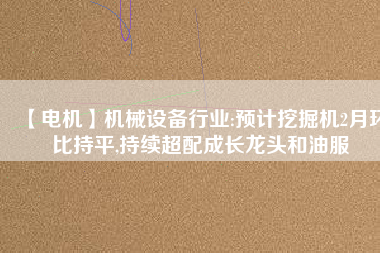 【電機】機械設備行業(yè):預計挖掘機2月環(huán)比持平,持續(xù)超配成長龍頭和油服 - TECO東元電機 | 變頻器·伺服電機·減速機·電機解決方案