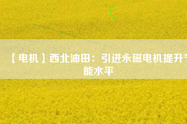【電機(jī)】西北油田:引進(jìn)永磁電機(jī)提升節(jié)能水平 - TECO東元電機(jī) | 變頻器·伺服電機(jī)·減速機(jī)·電機(jī)解決方案