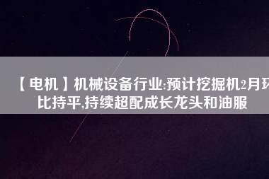 【電機】機械設備行業(yè):預計挖掘機2月環(huán)比持平,持續(xù)超配成長龍頭和油服 - TECO東元電機 | 變頻器·伺服電機·減速機·電機解決方案
