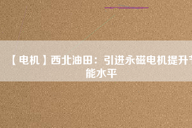 【電機(jī)】西北油田:引進(jìn)永磁電機(jī)提升節(jié)能水平 - TECO東元電機(jī) | 變頻器·伺服電機(jī)·減速機(jī)·電機(jī)解決方案