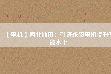 【電機(jī)】西北油田:引進(jìn)永磁電機(jī)提升節(jié)能水平 - TECO東元電機(jī) | 變頻器·伺服電機(jī)·減速機(jī)·電機(jī)解決方案