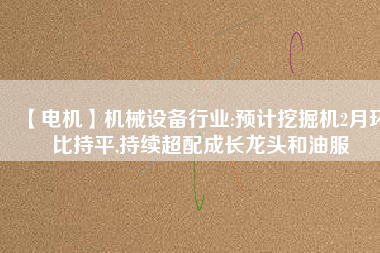 【電機】機械設備行業(yè):預計挖掘機2月環(huán)比持平,持續(xù)超配成長龍頭和油服 - TECO東元電機 | 變頻器·伺服電機·減速機·電機解決方案