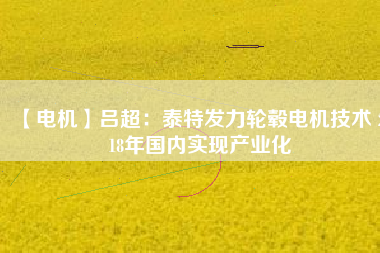 【電機(jī)】呂超：泰特發(fā)力輪轂電機(jī)技術(shù) 2018年國內(nèi)實現(xiàn)產(chǎn)業(yè)化 - TECO東元電機(jī) | 變頻器·伺服電機(jī)·減速機(jī)·電機(jī)解決方案