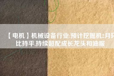 【電機】機械設備行業(yè):預計挖掘機2月環(huán)比持平,持續(xù)超配成長龍頭和油服 - TECO東元電機 | 變頻器·伺服電機·減速機·電機解決方案