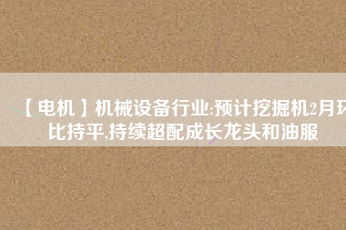 【電機】機械設備行業(yè):預計挖掘機2月環(huán)比持平,持續(xù)超配成長龍頭和油服 - TECO東元電機 | 變頻器·伺服電機·減速機·電機解決方案