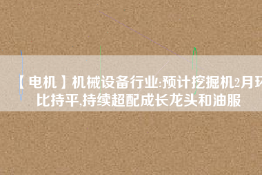 【電機】機械設備行業(yè):預計挖掘機2月環(huán)比持平,持續(xù)超配成長龍頭和油服 - TECO東元電機 | 變頻器·伺服電機·減速機·電機解決方案