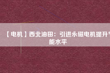 【電機(jī)】西北油田:引進(jìn)永磁電機(jī)提升節(jié)能水平 - TECO東元電機(jī) | 變頻器·伺服電機(jī)·減速機(jī)·電機(jī)解決方案