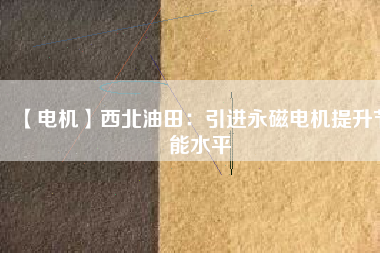 【電機(jī)】西北油田:引進(jìn)永磁電機(jī)提升節(jié)能水平 - TECO東元電機(jī) | 變頻器·伺服電機(jī)·減速機(jī)·電機(jī)解決方案