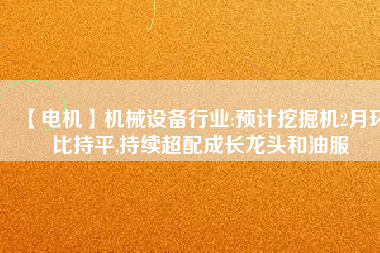 【電機】機械設備行業(yè):預計挖掘機2月環(huán)比持平,持續(xù)超配成長龍頭和油服 - TECO東元電機 | 變頻器·伺服電機·減速機·電機解決方案