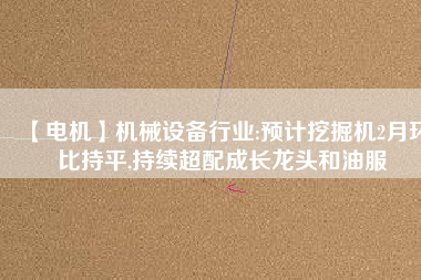 【電機】機械設備行業(yè):預計挖掘機2月環(huán)比持平,持續(xù)超配成長龍頭和油服 - TECO東元電機 | 變頻器·伺服電機·減速機·電機解決方案