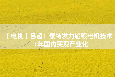 【電機(jī)】呂超：泰特發(fā)力輪轂電機(jī)技術(shù) 2018年國內(nèi)實現(xiàn)產(chǎn)業(yè)化 - TECO東元電機(jī) | 變頻器·伺服電機(jī)·減速機(jī)·電機(jī)解決方案