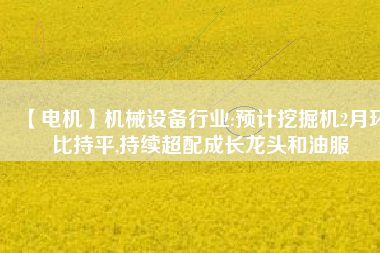 【電機】機械設備行業(yè):預計挖掘機2月環(huán)比持平,持續(xù)超配成長龍頭和油服 - TECO東元電機 | 變頻器·伺服電機·減速機·電機解決方案