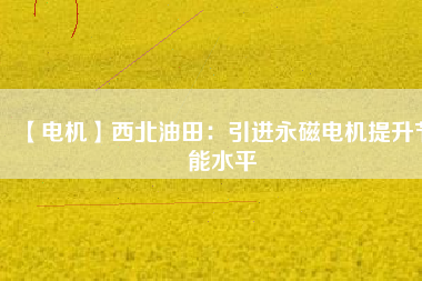 【電機(jī)】西北油田:引進(jìn)永磁電機(jī)提升節(jié)能水平 - TECO東元電機(jī) | 變頻器·伺服電機(jī)·減速機(jī)·電機(jī)解決方案