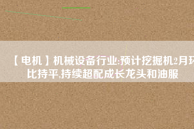 【電機】機械設備行業(yè):預計挖掘機2月環(huán)比持平,持續(xù)超配成長龍頭和油服 - TECO東元電機 | 變頻器·伺服電機·減速機·電機解決方案