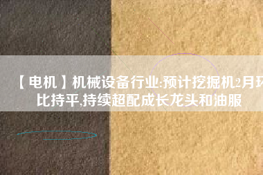【電機】機械設備行業(yè):預計挖掘機2月環(huán)比持平,持續(xù)超配成長龍頭和油服 - TECO東元電機 | 變頻器·伺服電機·減速機·電機解決方案