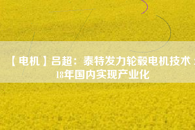 【電機(jī)】呂超：泰特發(fā)力輪轂電機(jī)技術(shù) 2018年國內(nèi)實現(xiàn)產(chǎn)業(yè)化 - TECO東元電機(jī) | 變頻器·伺服電機(jī)·減速機(jī)·電機(jī)解決方案