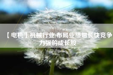 【電機(jī)】機(jī)械行業(yè):布局業(yè)績?cè)鲩L快競(jìng)爭(zhēng)力強(qiáng)的成長股